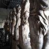 UNA STATUA ALLEGORIE 4 STAGIONI - immagine 12