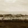 MADONNA DEL SALENTO - immagine 37
